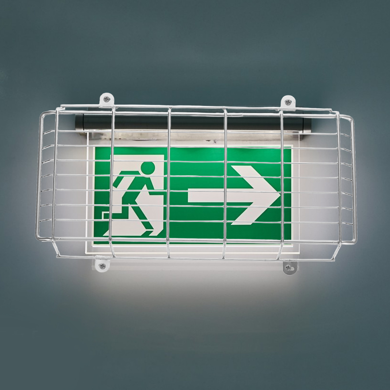 1 комплект металлического защи – обзор и цена Emergency Exit Sign